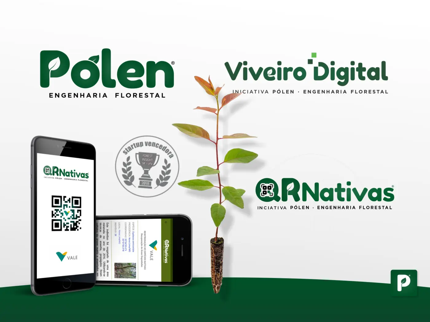 Sistema de marca da Pólen Engenharia Florestal com aplicações digitais e viveiro